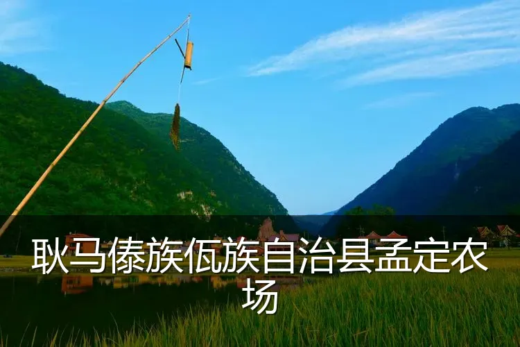 耿马傣族佤族自治县孟定农场
